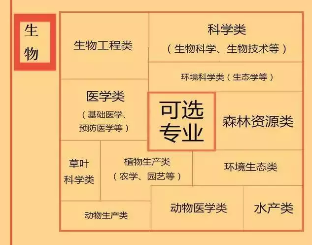 根據(jù)特長選專業(yè)，高中各門課程對應大學專業(yè)實用盤點，志愿填報的你不可錯過！